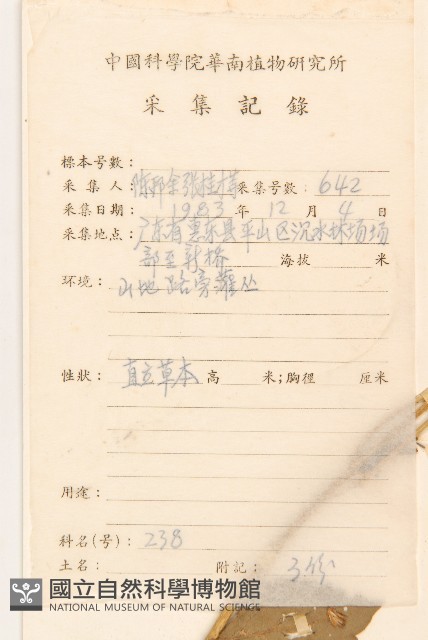 華澤蘭藏品圖，第2張