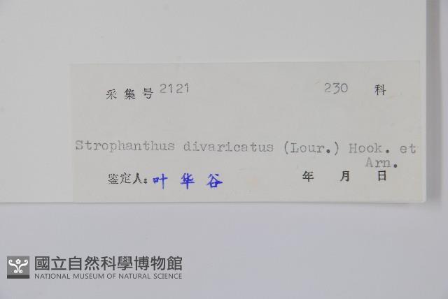 羊角扭藏品圖，第2張