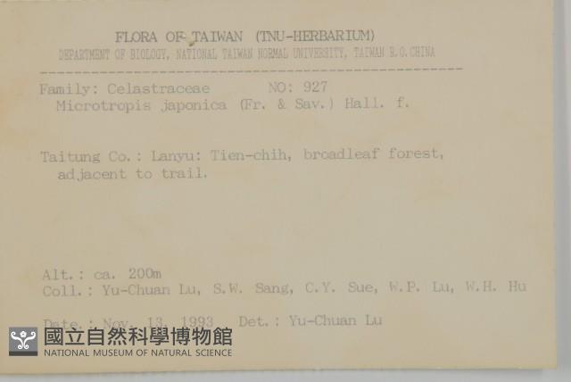 日本賽衛矛、日本假衛矛藏品圖，第2張