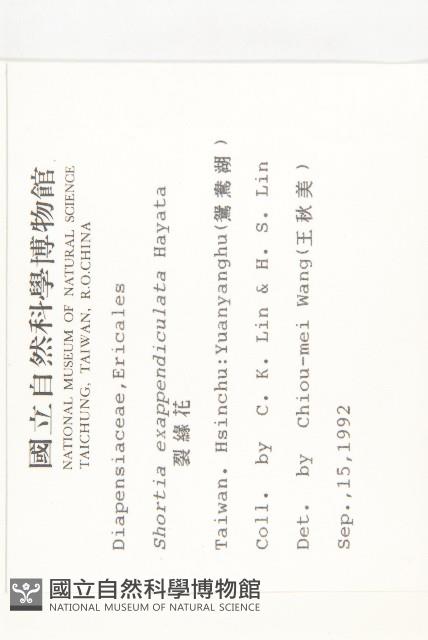 裂緣花藏品圖，第2張