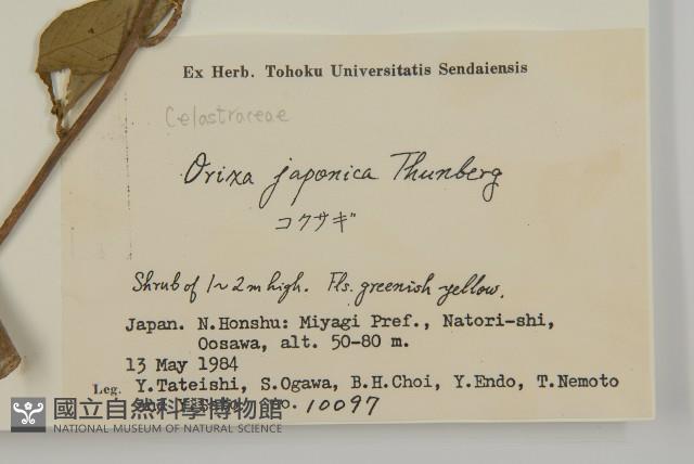 常山藏品圖，第2張