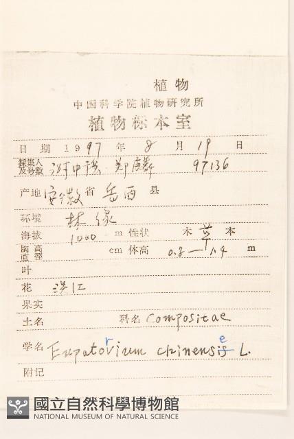 華澤蘭藏品圖，第2張