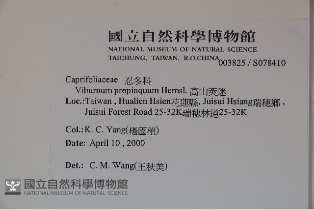 高山莢迷藏品圖，第2張