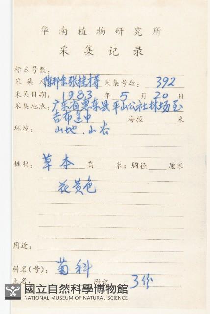 蟛蜞菊藏品圖，第2張