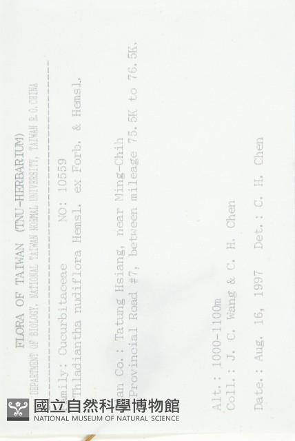 青牛膽藏品圖，第2張