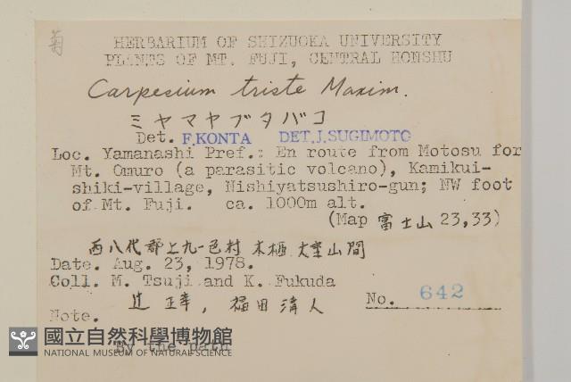 暗花金挖耳藏品圖，第2張