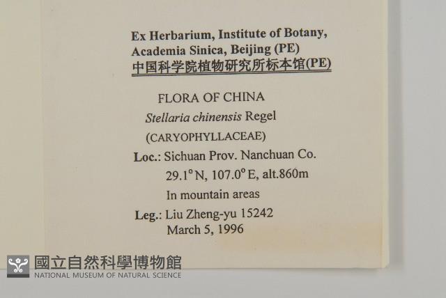 中國繁縷藏品圖，第2張