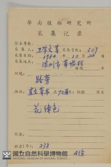 艾、五月艾藏品圖，第2張