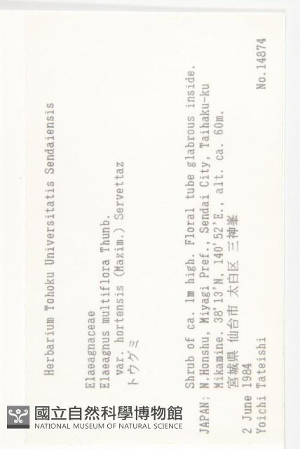 登錄號:S058750藏品圖，第2張