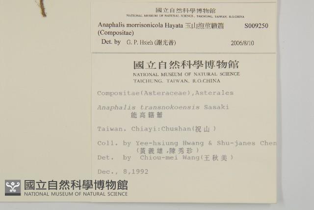 玉山抱莖籟簫藏品圖，第2張