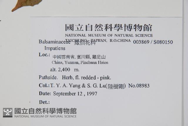 登錄號:S080150藏品圖，第2張