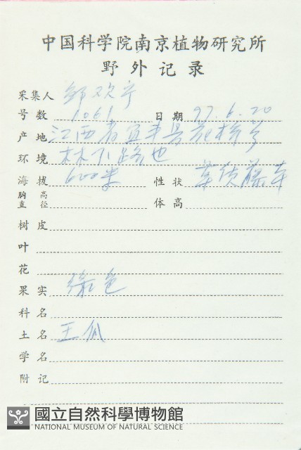 王瓜藏品圖，第2張