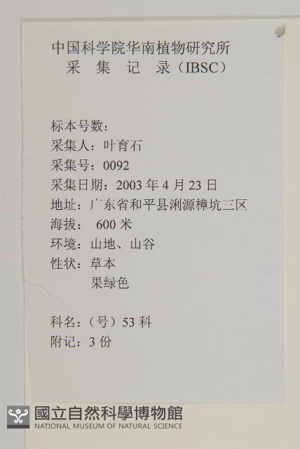 繁縷藏品圖，第2張