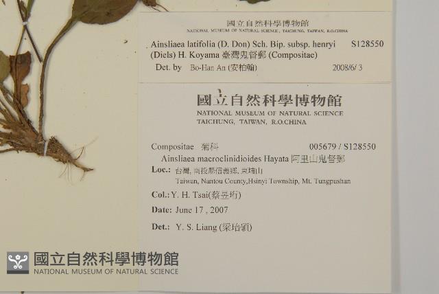 臺灣鬼督郵藏品圖，第2張