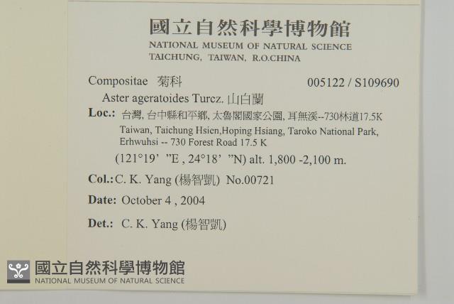 山白蘭藏品圖，第2張