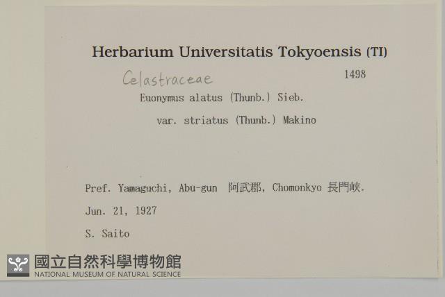 登錄號:S082090藏品圖，第2張