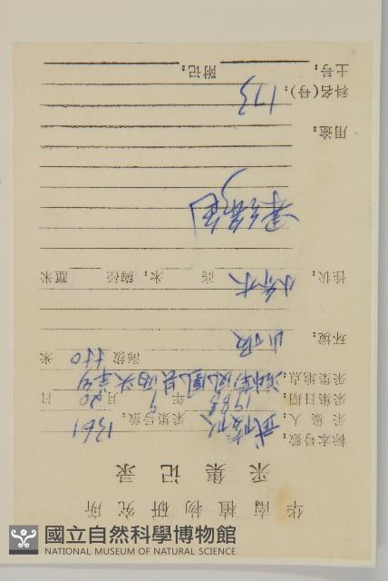 Taiwan euonymus Collection Image, Figure 2, Total 3 Figures