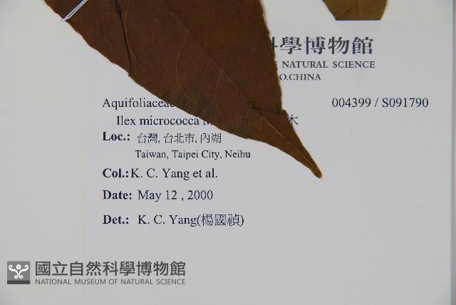 朱紅水木藏品圖，第2張