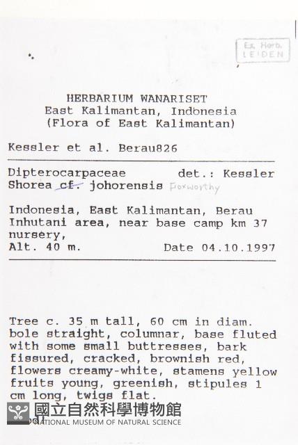 登錄號:S058790藏品圖，第2張