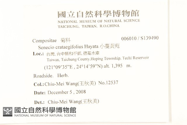 小蔓黃苑藏品圖，第2張
