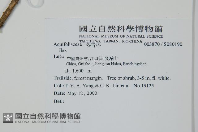 登錄號:S080190藏品圖，第2張