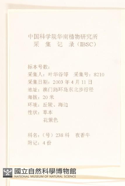 一枝香藏品圖，第2張