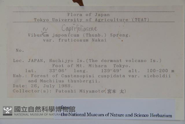 登錄號:S128190藏品圖，第2張