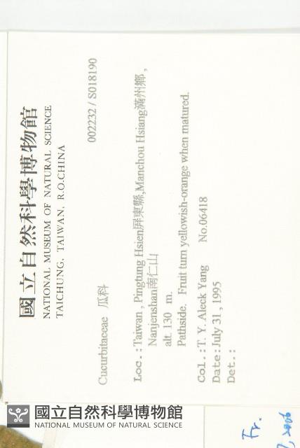 王瓜藏品圖，第2張