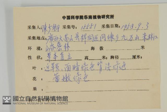 山白蘭藏品圖，第2張