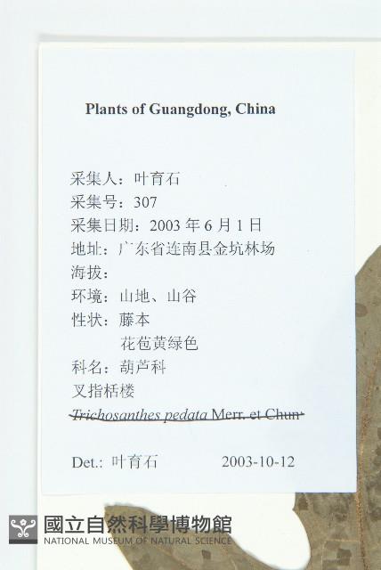 全緣括樓藏品圖，第2張