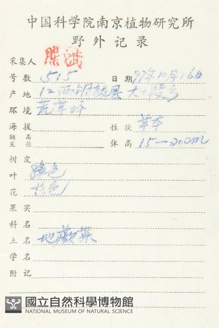 小葶藶藏品圖，第2張