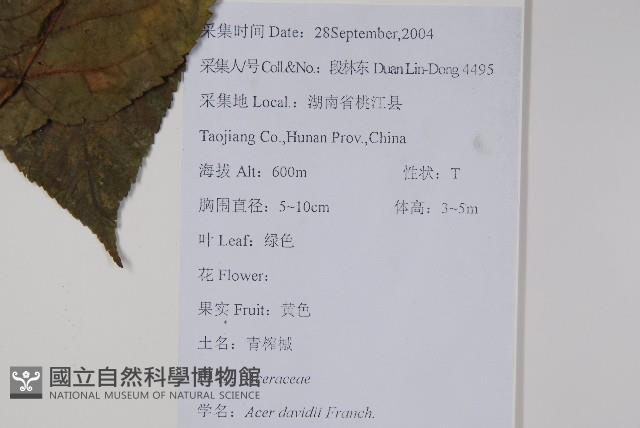 Accession Number:S118390 Collection Image, Figure 2, Total 2 Figures