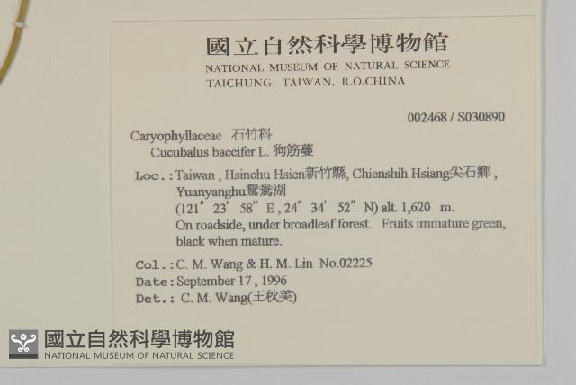 Accession Number:S030890 Collection Image, Figure 2, Total 2 Figures