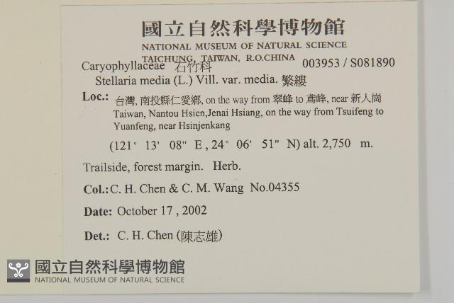 繁縷藏品圖，第2張