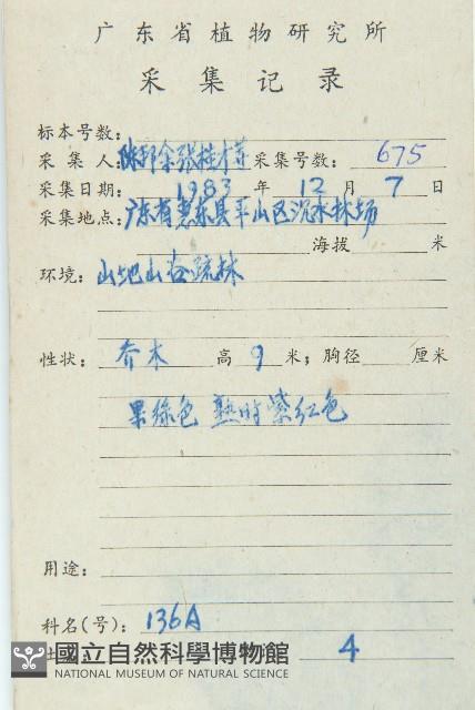 俄氏虎皮楠、蘭嶼虎皮楠、虎皮楠藏品圖，第2張