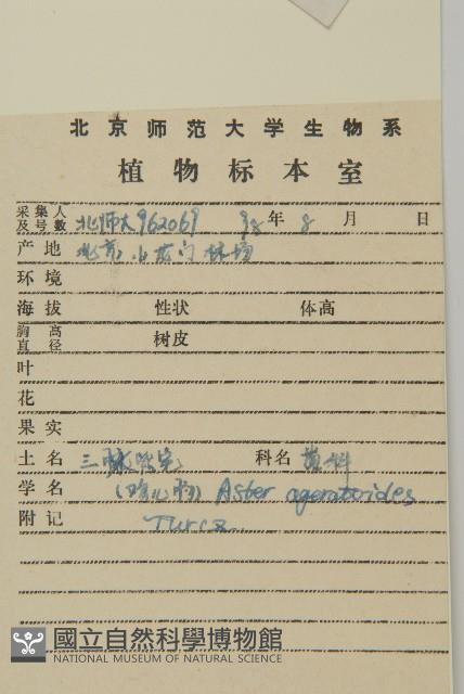 山白蘭藏品圖，第2張