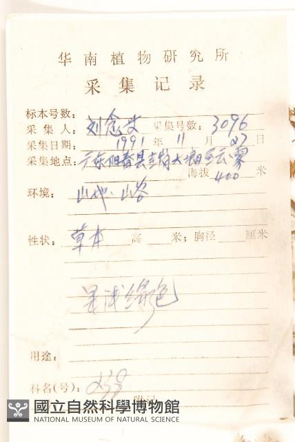 六角草藏品圖，第2張