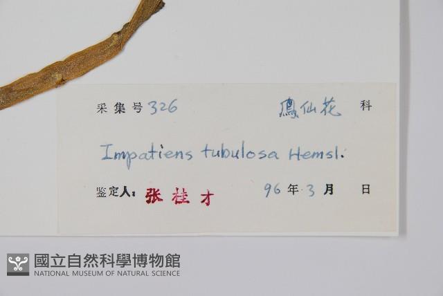 登錄號:S039630藏品圖，第2張