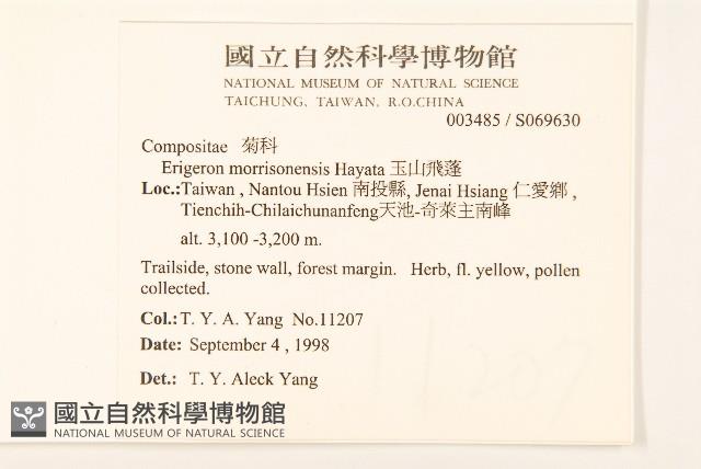 玉山飛蓬藏品圖，第5張