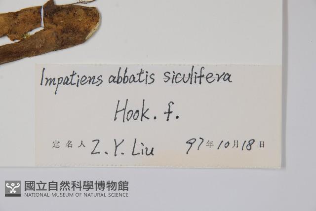 登錄號:S048030藏品圖，第2張