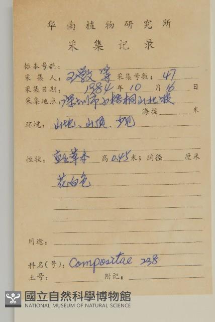 山白蘭藏品圖，第2張