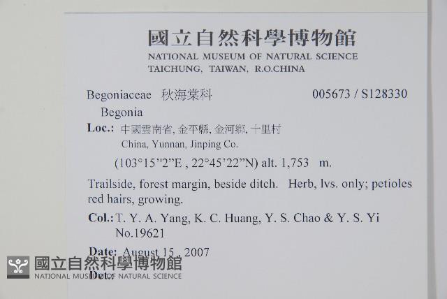 登錄號:S128330藏品圖，第2張