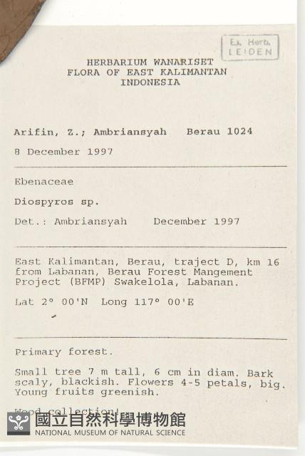 登錄號:S058830藏品圖，第2張