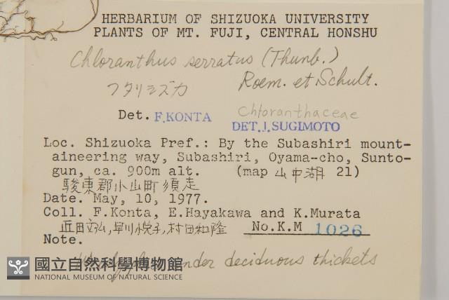 及己藏品圖，第2張