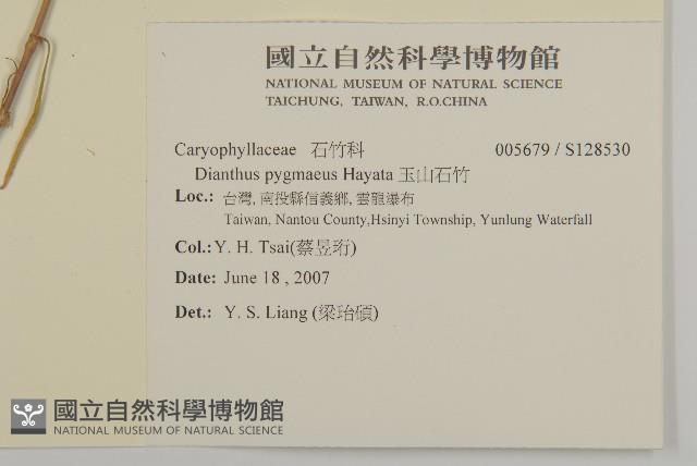 玉山石竹藏品圖，第2張