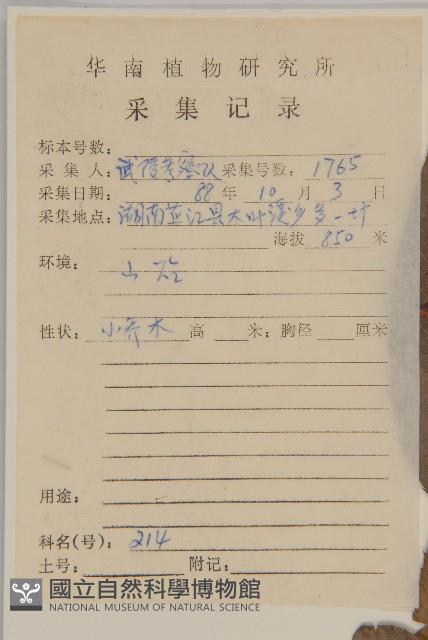 華中山柳藏品圖，第2張