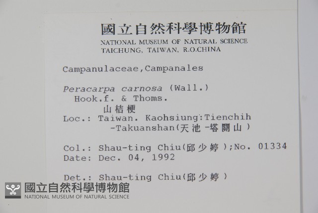 山桔梗藏品圖，第2張