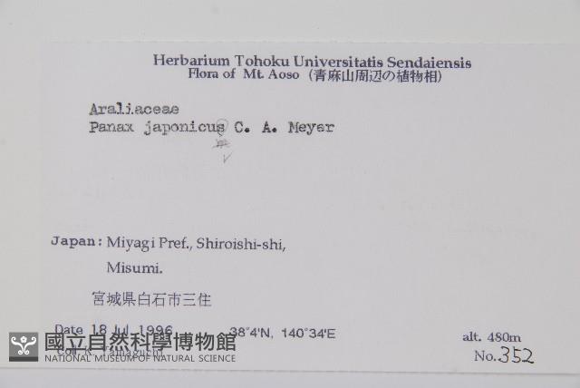 竹節參藏品圖，第2張