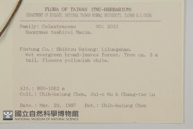 菱葉衛矛藏品圖，第2張