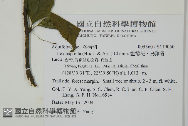 燈稱花、烏雞骨藏品圖，第2張